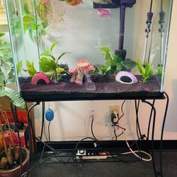 36 Gallon Aquarium With Steel Stand And Accessories 