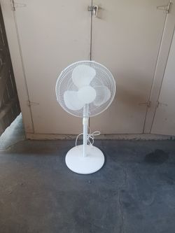 Fan