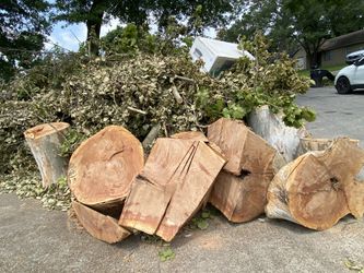 Estamos a la orden para Cortes De árboles en todo Houston precios razonable
