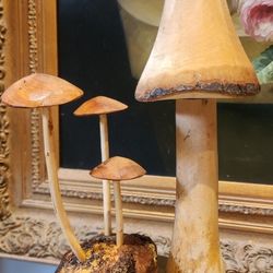 Hand Carved Wooden Mushrooms 