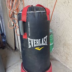 Everlast Punching Bag