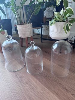 Glass Cloches