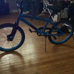 Fearless Bike