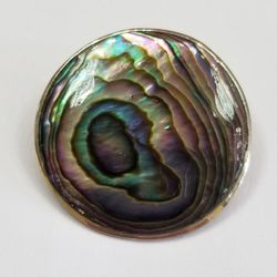 Pin Pendant Silver And Abalone 