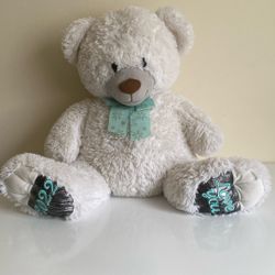 Sweet White TeddyBear 