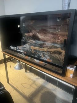 120 Gal Reptile Terrarium 4x2x2 ft – Bearded Dragon Habitat Tank with Sliding Glass Doors & Mesh Vent Top, Enclosure for Snakes, Lizards & Geckos