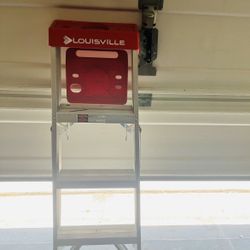 Louisville 4ft Ladder 