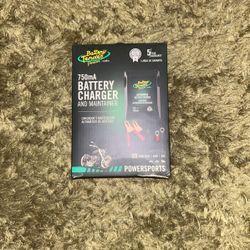 Battery Tender Junior 12V Battery Charger 