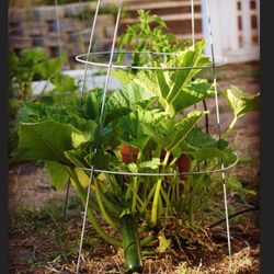 Trellis X10 And Tools Set 