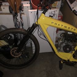 Phatmoto Rover 79cc