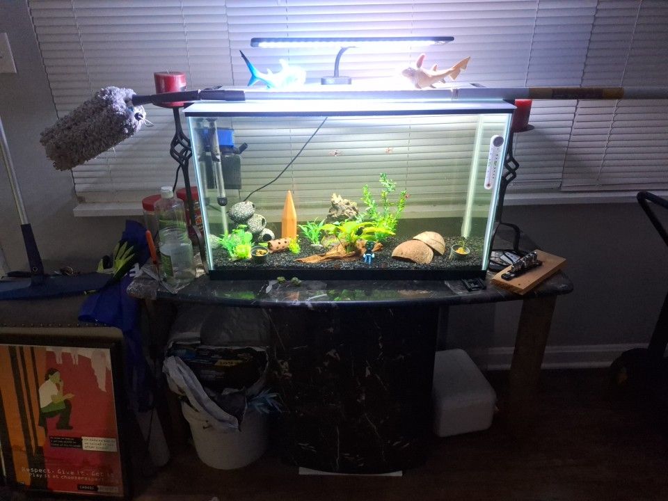 30 Gallon Tank