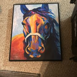 Horse Picture 