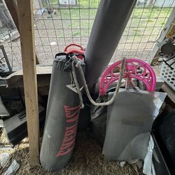 Everlast Punching Bag 