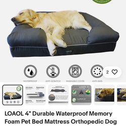 LOAOL 4" Durable Waterproof Memory Foam Pet Bed Mattress Orthopedic Dog Sofa Co
