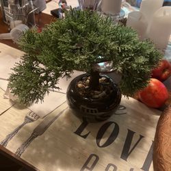Artificial Bonsai Tree