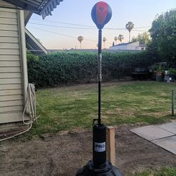 Boxing Setup For sale 