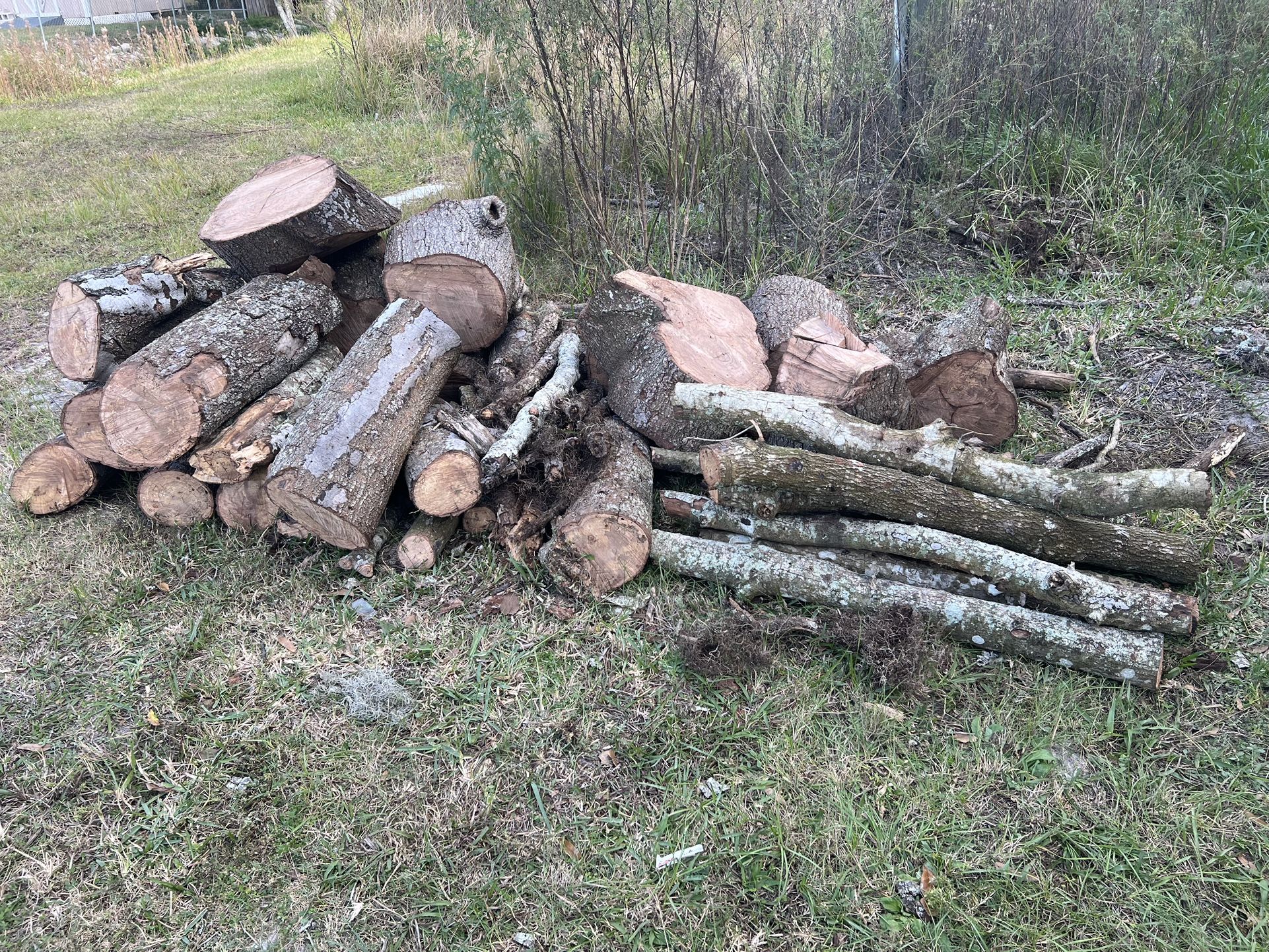 Firewood New Port Richey Back Yo Pile Of Dried Oak $20 All Or $1 Any Size Pc