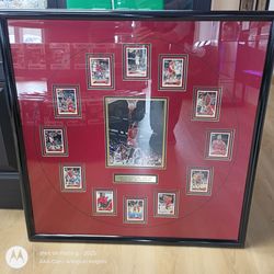 Michael Jordan/Chicago Bulls Commemorative Wall Hanging 1(contact info removed)