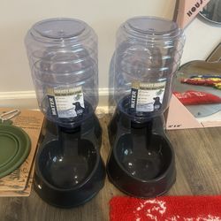 Dog Bowls $15 Dollars A Piece 