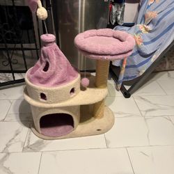 Cat House