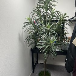 Artificial Plant