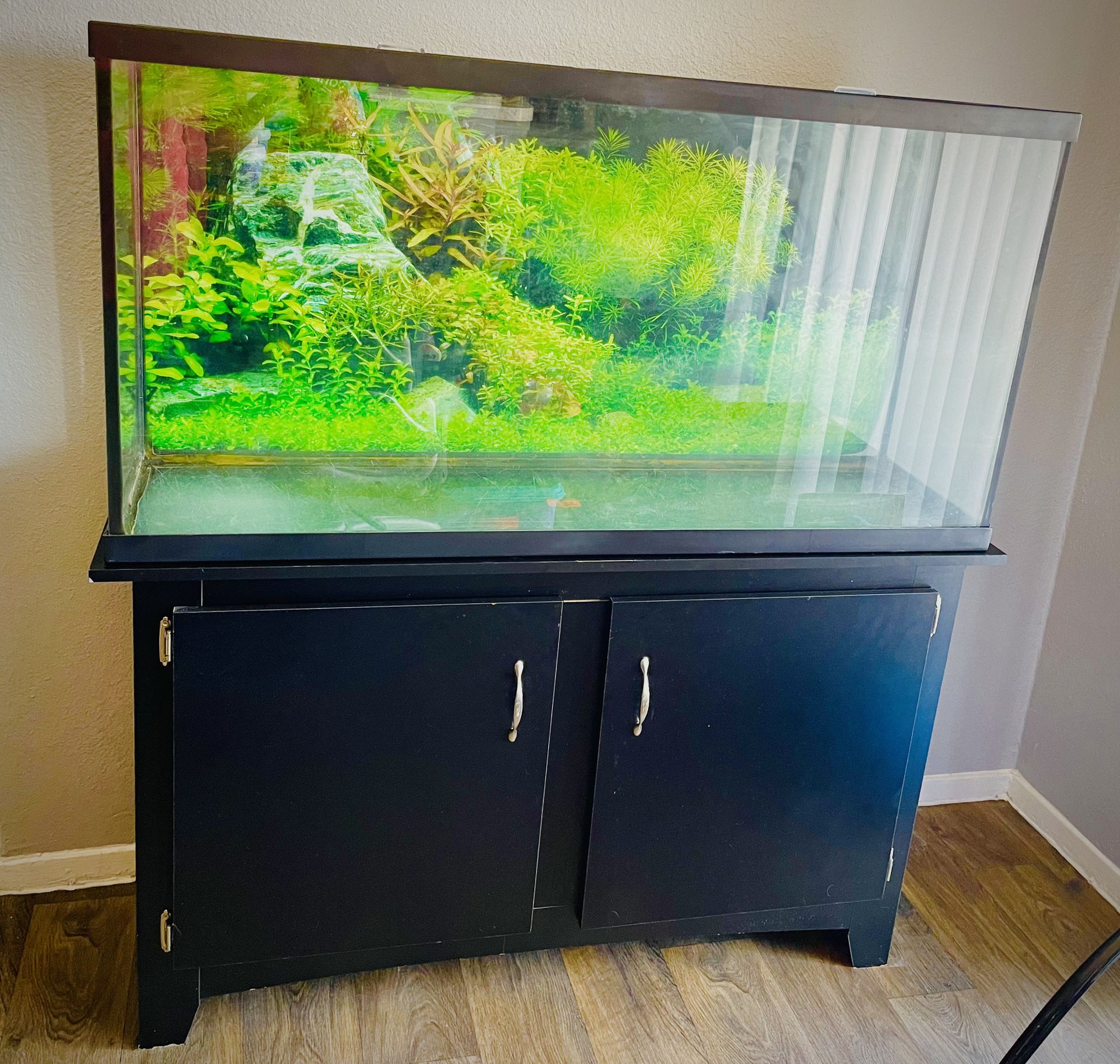 Pick Up Only! 55 Gallon Tank And Stand Plus Penn-plax Cascade Filter And More!