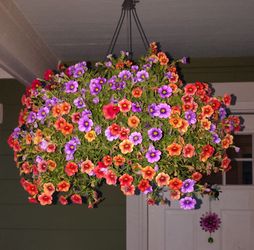 Hanging flower baskets
