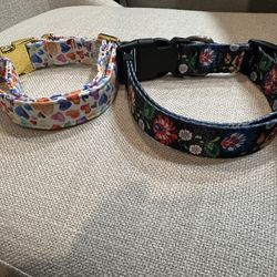 Cute Dog Collar