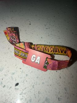 Vans Warped Tour Day Pass LIVE concerts rock show emo punk etc