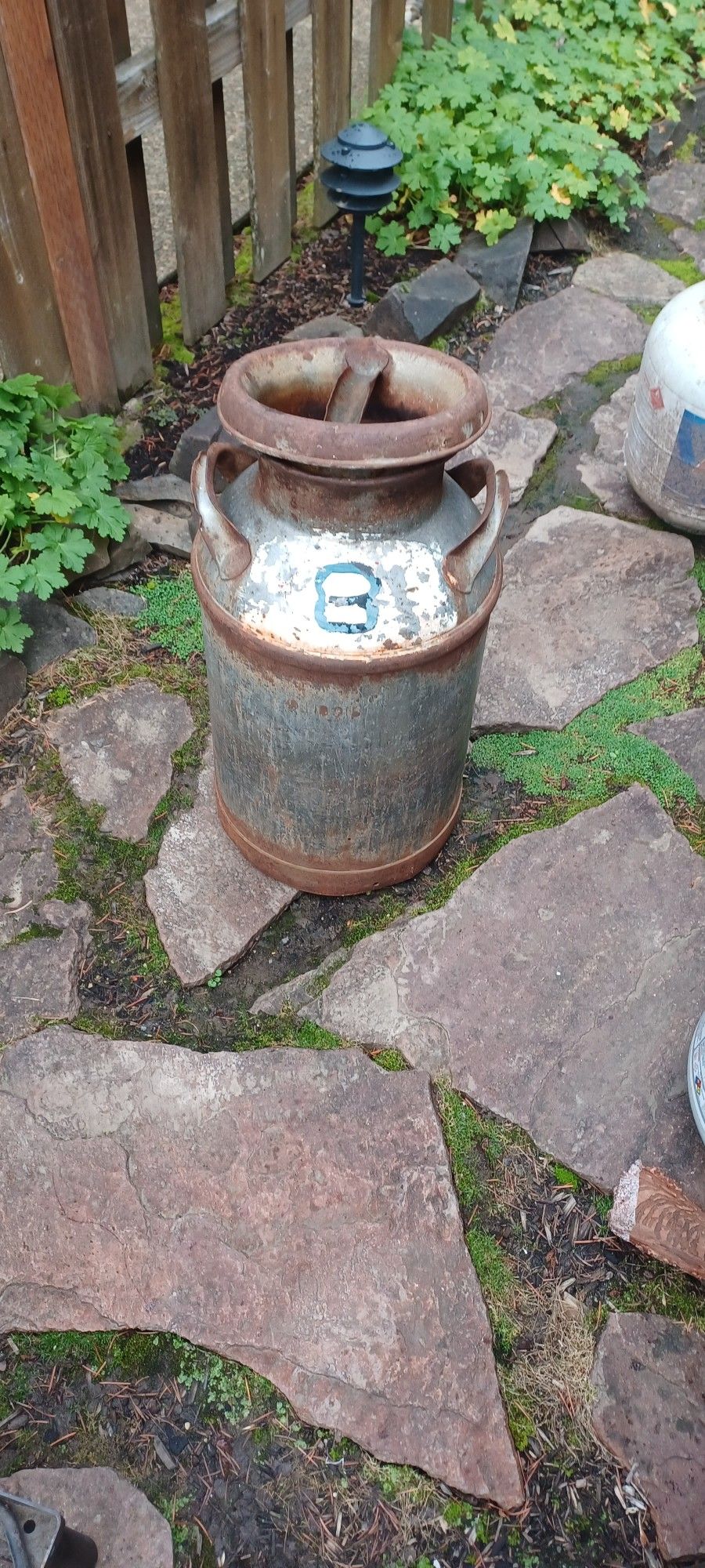 Vintage Milk Jug Good Condition Great Price