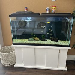 Fish Tank And Stand