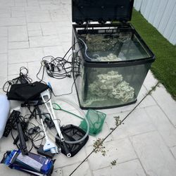 Reef Tank