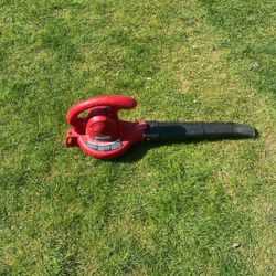 Electric Leaf Blower