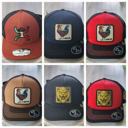 Gorras Modernas