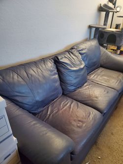 FREE Couch with fold out bed