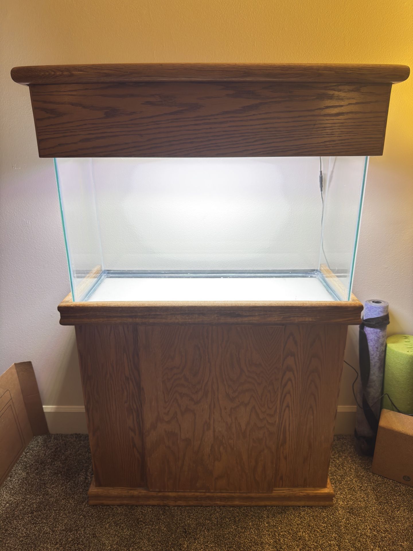 29 Gallon Fish Tank With Stand & Accessories