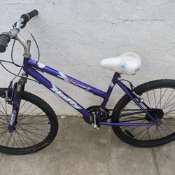 Huffy Women's Bicycle