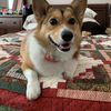 Angela