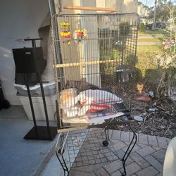 Bird Cage