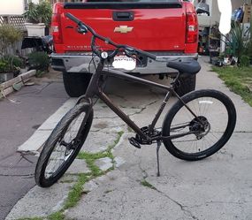 2020 Specialized Roll Sport