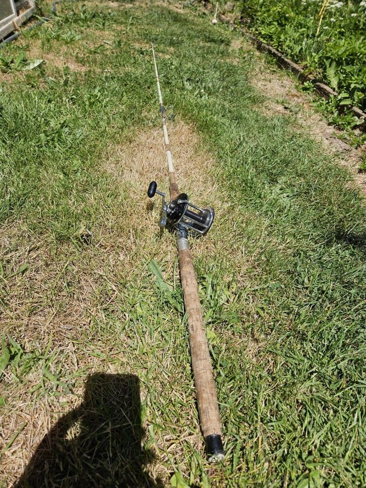 Fishing rod and reel. $30