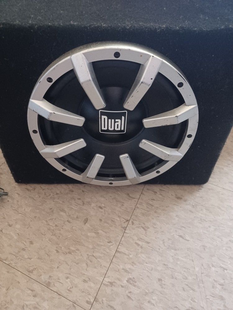 10 Inch Dual Straight Bass, Imput Amp Not Working, Speaker Good Only Pick Up