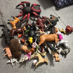 Animals