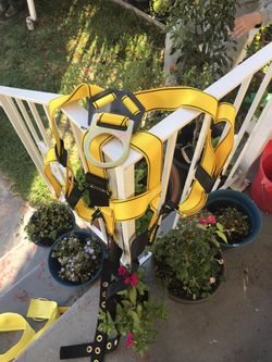 MSA medium/large Safaty harness