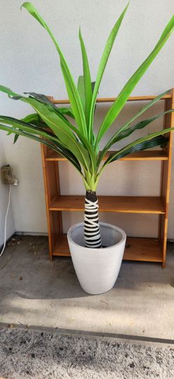 Faux palm plant with lights & white pot