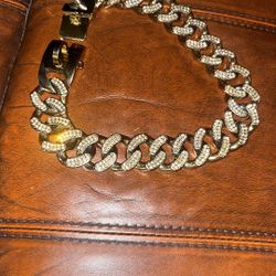 Dog Chain Collar