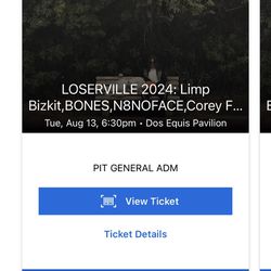Limp Bizkit Live In Dallas  8/13/2024 GA Ticket