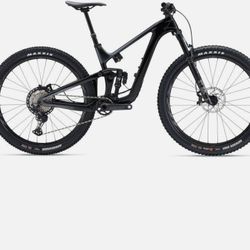 Giant trance frame for sale hot sale