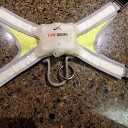 Dog Harness - Lights Up
