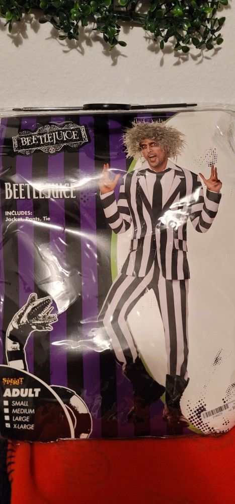Beetlejuice  Costume 